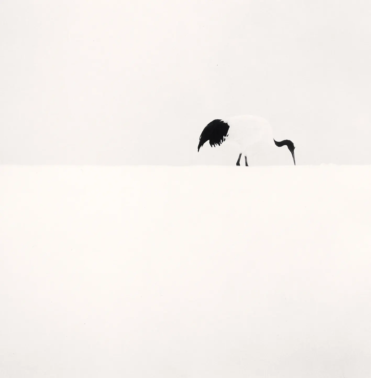 Michael Kenna: Japan / A LOVE STORY