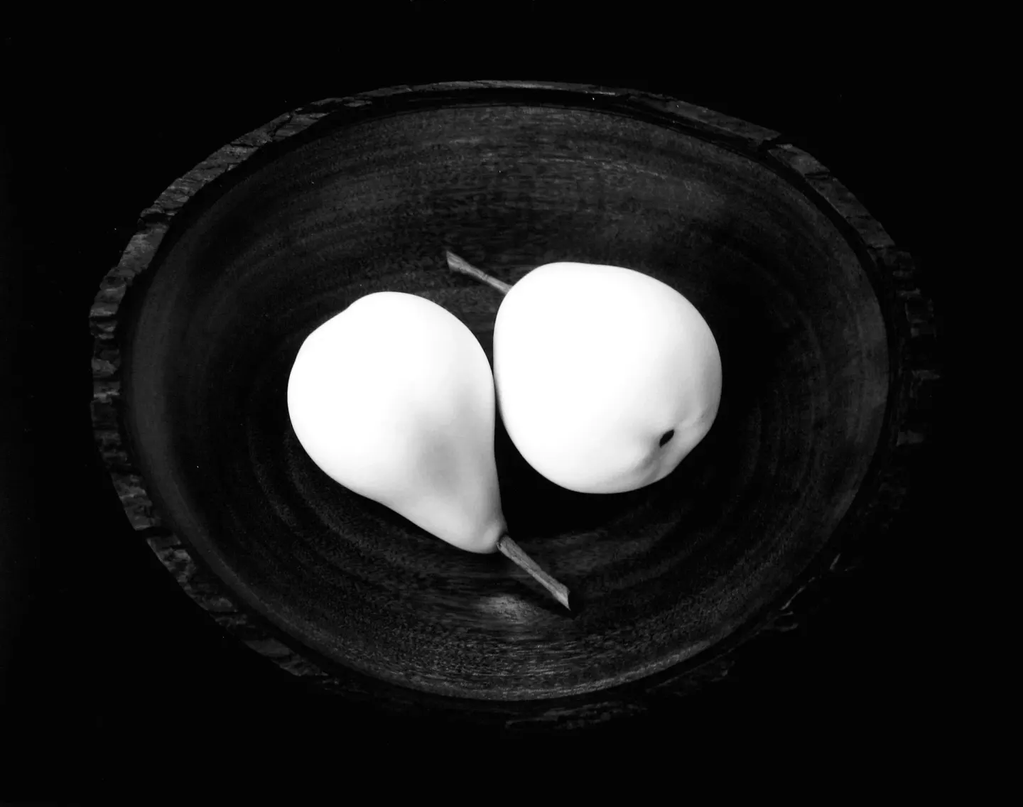 Paul Caponigro - Rose Bowl, Still Life, Cushing ME, 2002