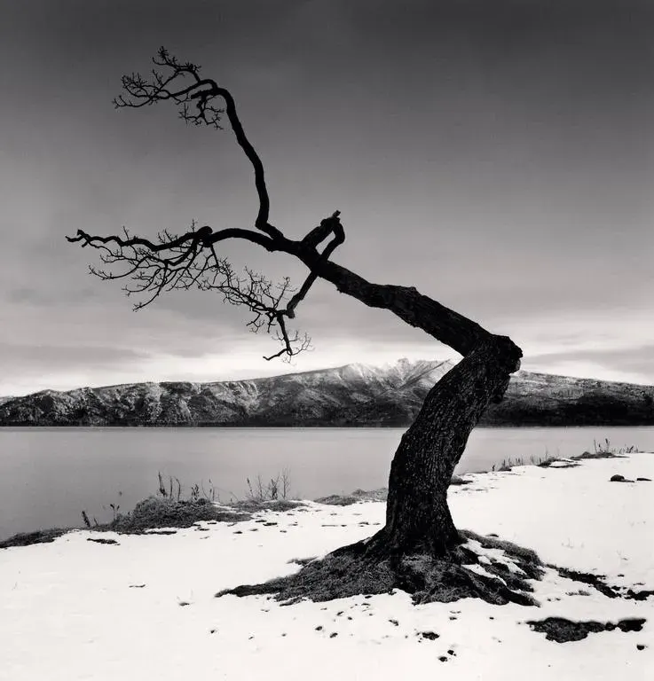 Michael Kenna - Sairyuji Wind Chime, Mishima, Fukushima, 2026
