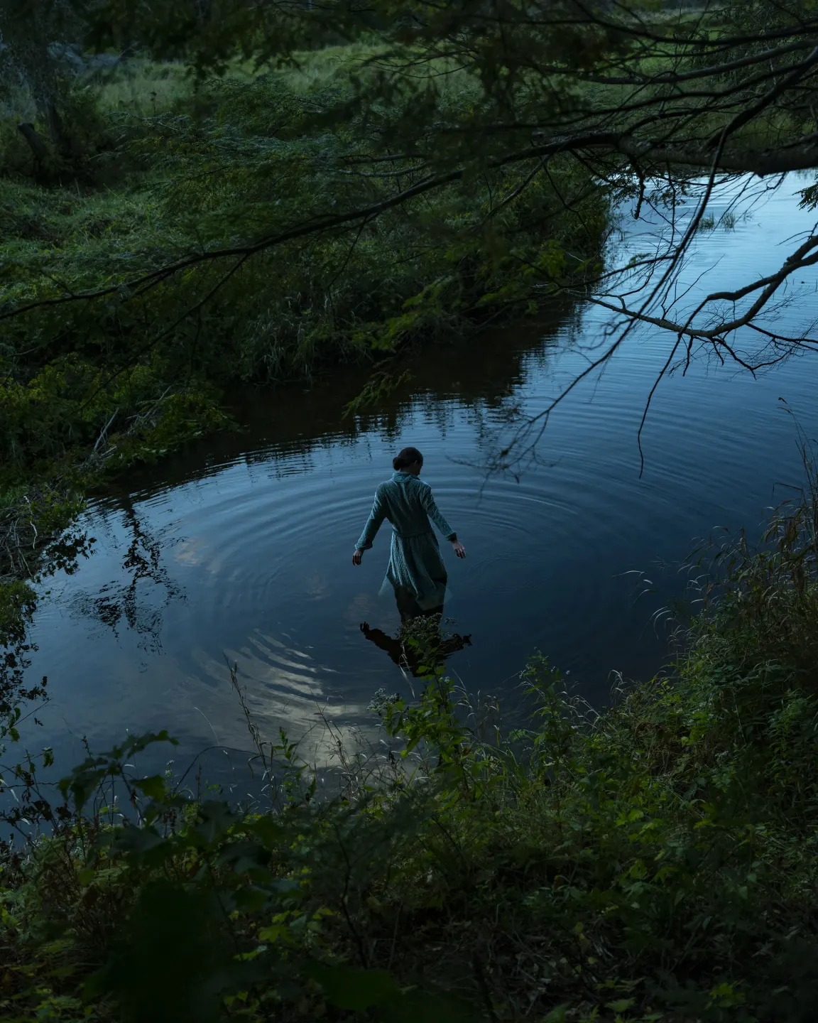 Cig Harvey - Diving Petrel, 2026
