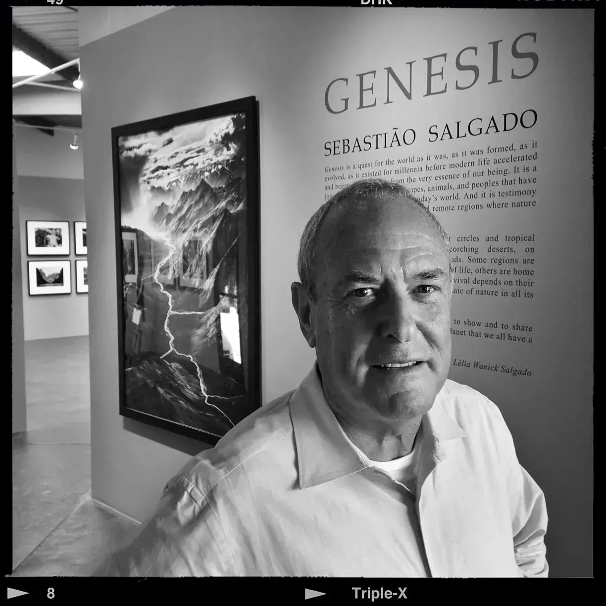 ABOUT THE GALLERY